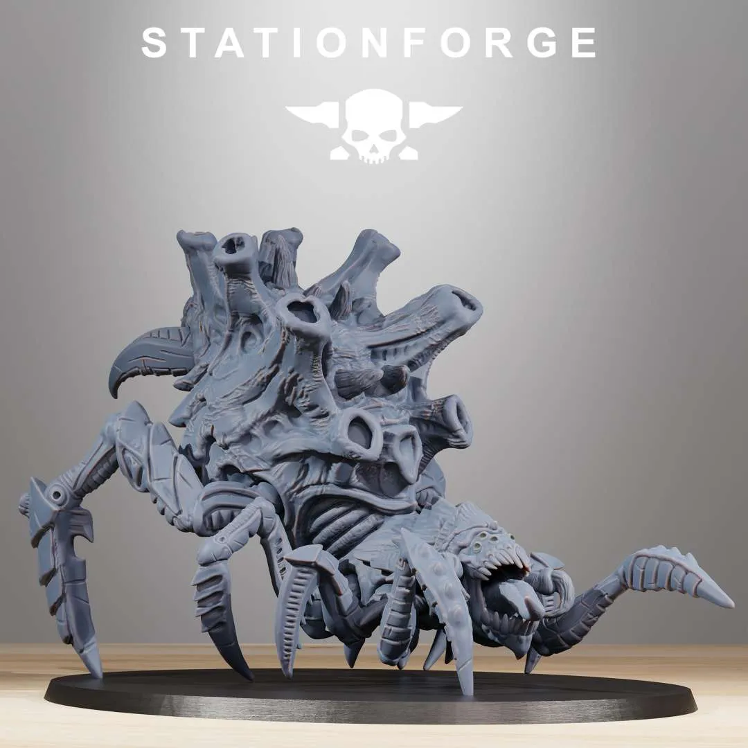 Xenarid Spider - Dungeon Forge